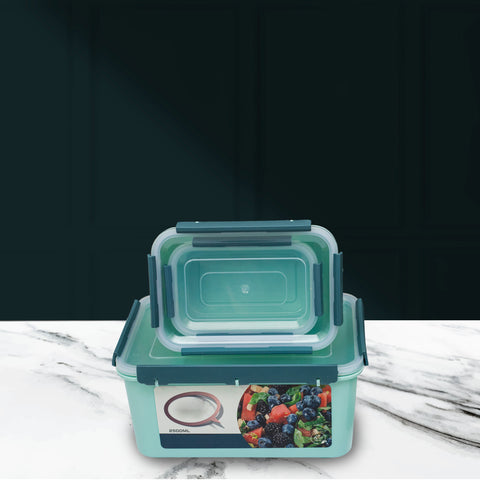 4Pcs Fine Plastic Storage Boxes