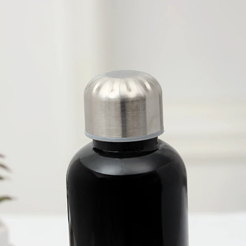 Stainless Steel Elite Insulated  My Water Bottle