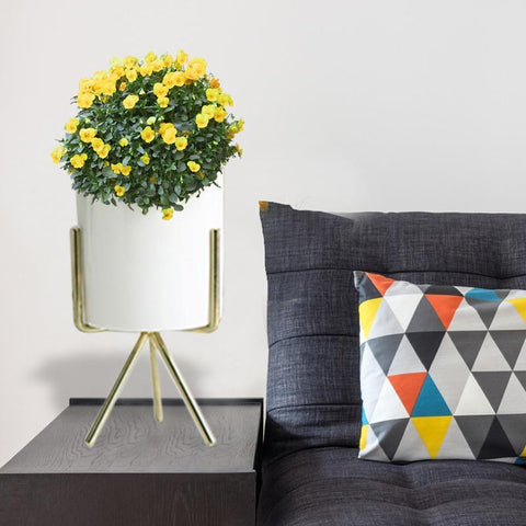 White Porcelain Flower Pot