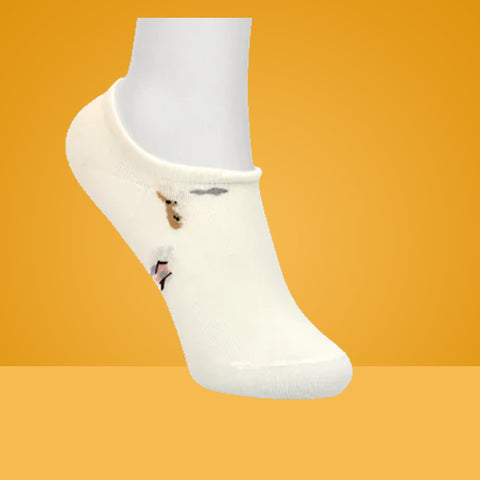 5 Packs Escentric Design Premium Cotton No Show Ankle Socks