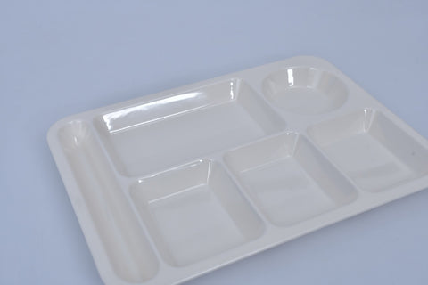 Multi Section Tray