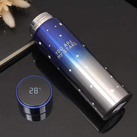 Smart LED Stainless Steel Insulated Flask Bottle
