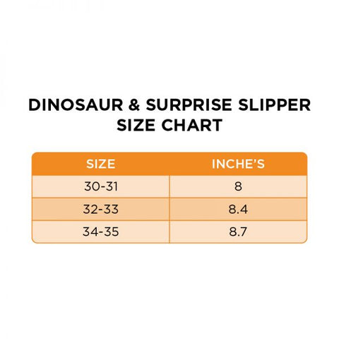 Dinosaur Kids Slippers
