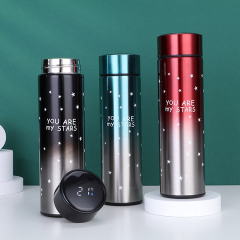 Smart LED Stainless Steel Insulated Flask Bottle