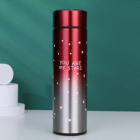 Smart LED Stainless Steel Insulated Flask Bottle