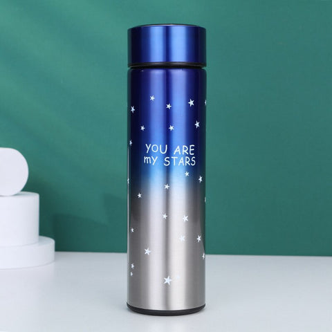 Smart LED Stainless Steel Insulated Flask Bottle