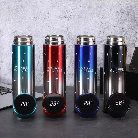 Smart LED Stainless Steel Insulated Flask Bottle
