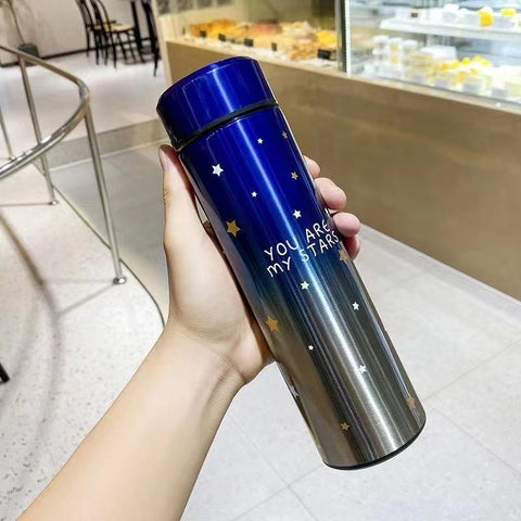 Smart LED Stainless Steel Insulated Flask Bottle