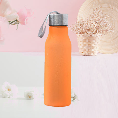 Water Bottle- Frosted Acrylic