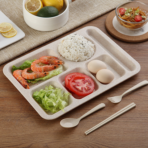 Multi Section Tray