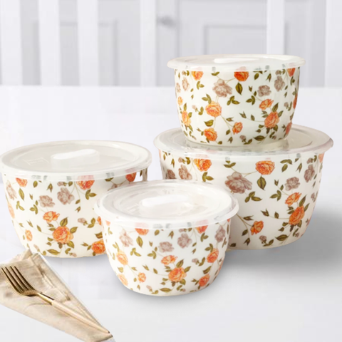 4Pcs Multi Ceramic Sealed Bowls