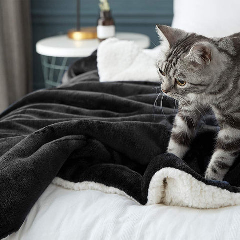 Black Fluffy Sherpa Blanket