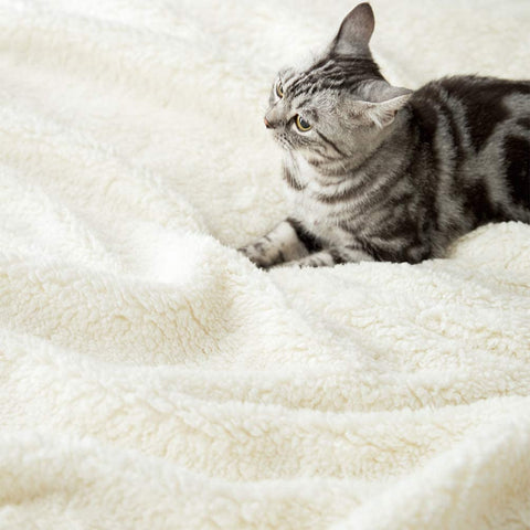 Black Fluffy Sherpa Blanket