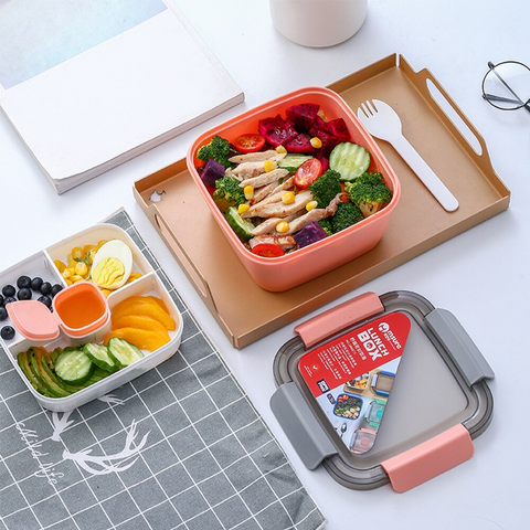 Lunch Box- Dual Color Plastic