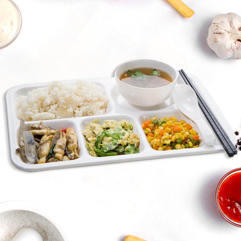 Multi Section Tray